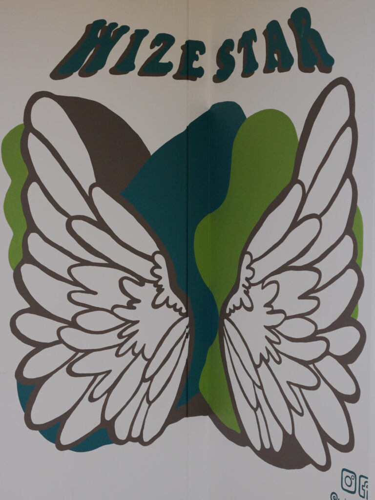Paediatric Clinic Interactive Wings Mural